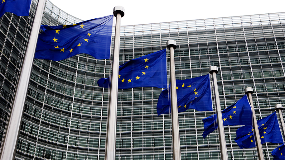 Photo de plusieurs drapeaux de l'Union Européenne flottant au vent.