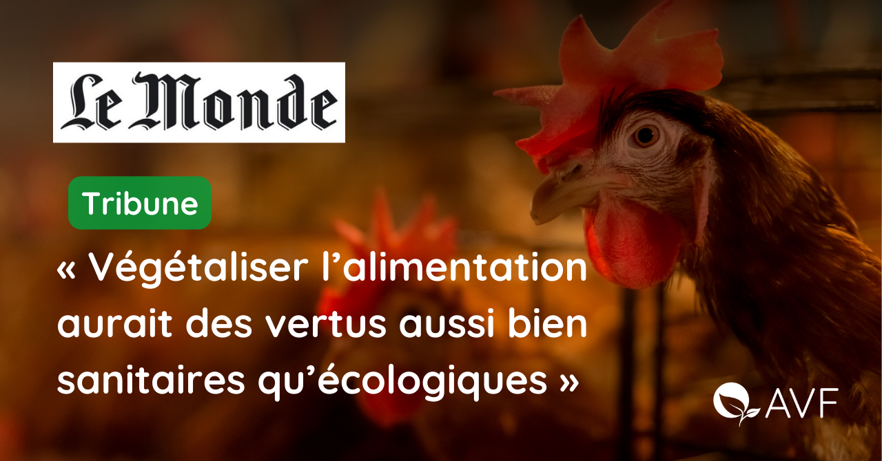 Une affiche de l'AVF mettant en avant sa dernière tribune dans Le Monde, avec en citation "Végétaliser l'alimentation aurait des vertus aussi bien sanitaires qu'écologiques".