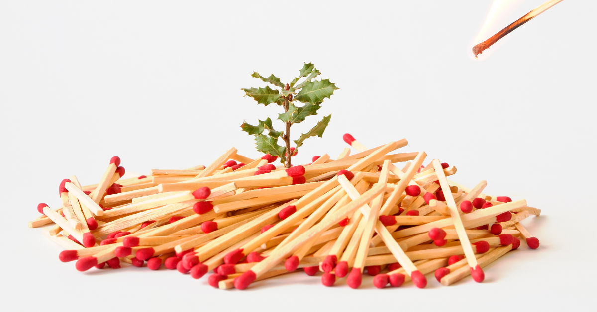 Un tas d'allumettes avec une petite plante émergeant au centre. On distingue une allumette allumée à l'angle supérieur droit de la photo. Elle semble se diriger vers le tas central.